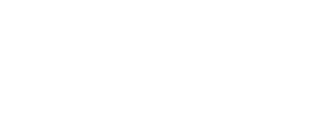 Switch Domains